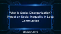 What is Social Disorganization? Impact on Social Inequality in Local Communities