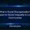 what is social disorganization? impact on social inequality in local communities