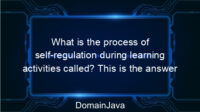 What is the process of self-regulation during learning activities called? This is the answer