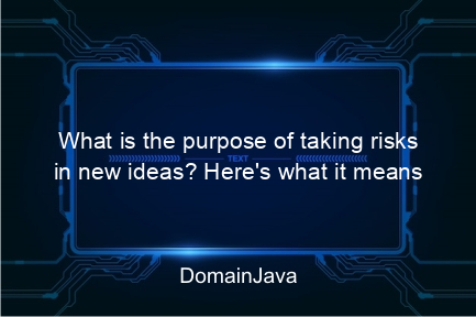 what is the purpose of taking risks in new ideas? here's what it means