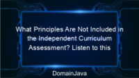 What Principles Are Not Included in the Independent Curriculum Assessment? Listen to this explanation