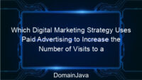 Which Digital Marketing Strategy Uses Paid Advertising to Increase the Number of Visits to a Website? Let’s Understand