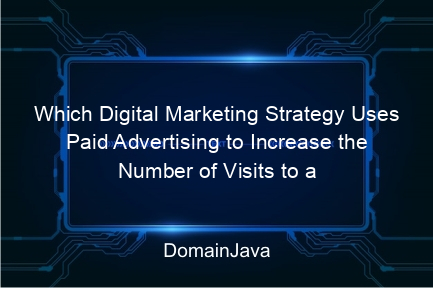 which digital marketing strategy uses paid advertising to increase the number of visits to a website? let's understand