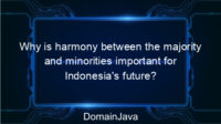 Why is harmony between the majority and minorities important for Indonesia’s future?