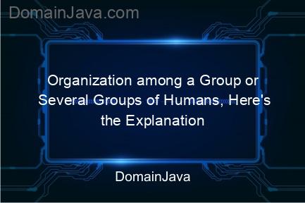 organization among a group or several groups of humans, here's the explanation