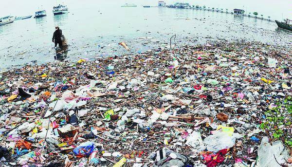 Bagaimana Cara Membuang Sampah dengan Baik dan Benar