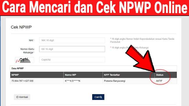 Cara Cek NPWP Online Mudah