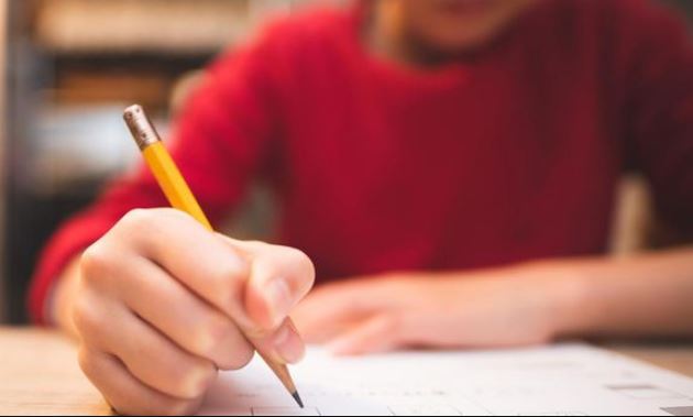 ilustrasi siswa sedang belajar